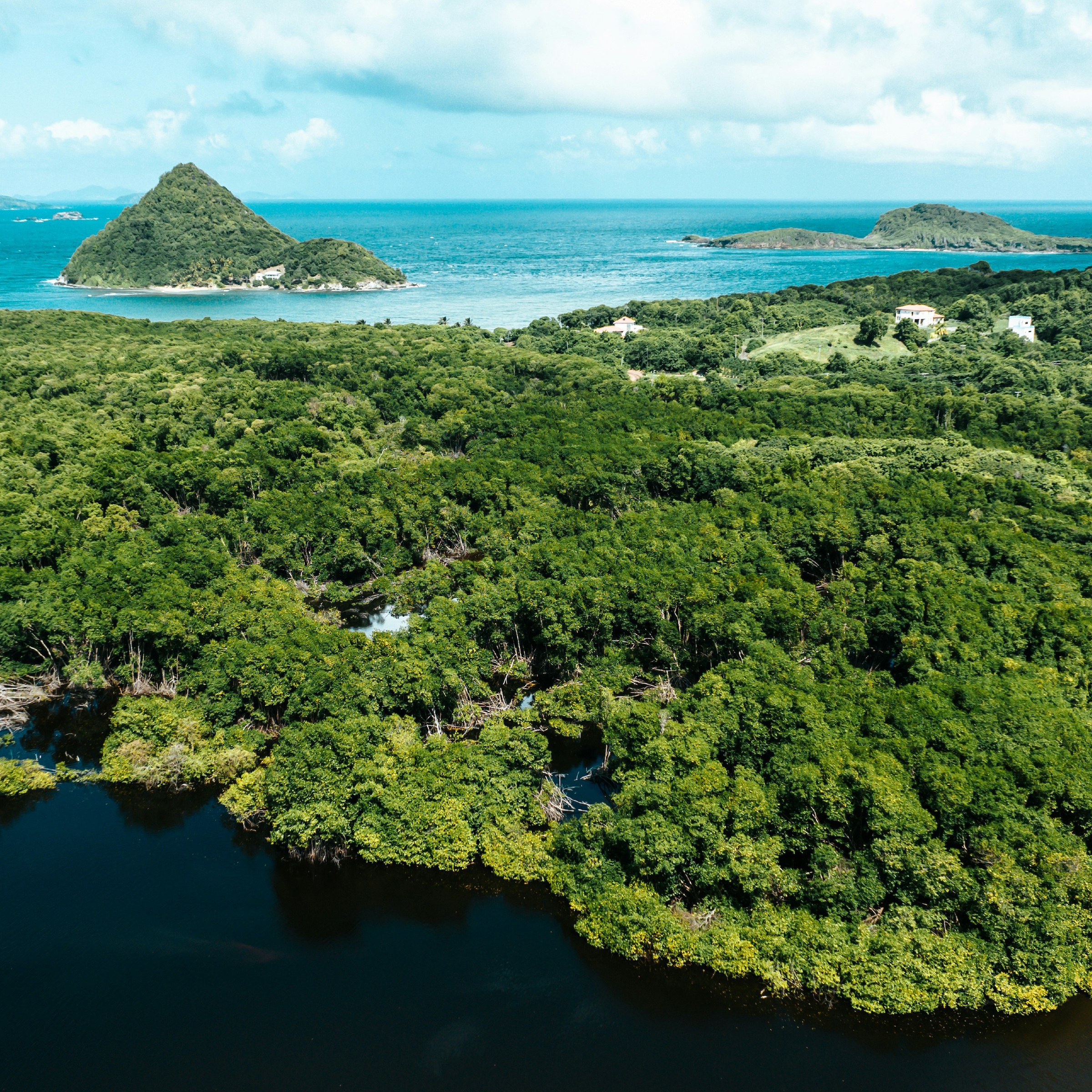 Leveraging global media to transform nature financing