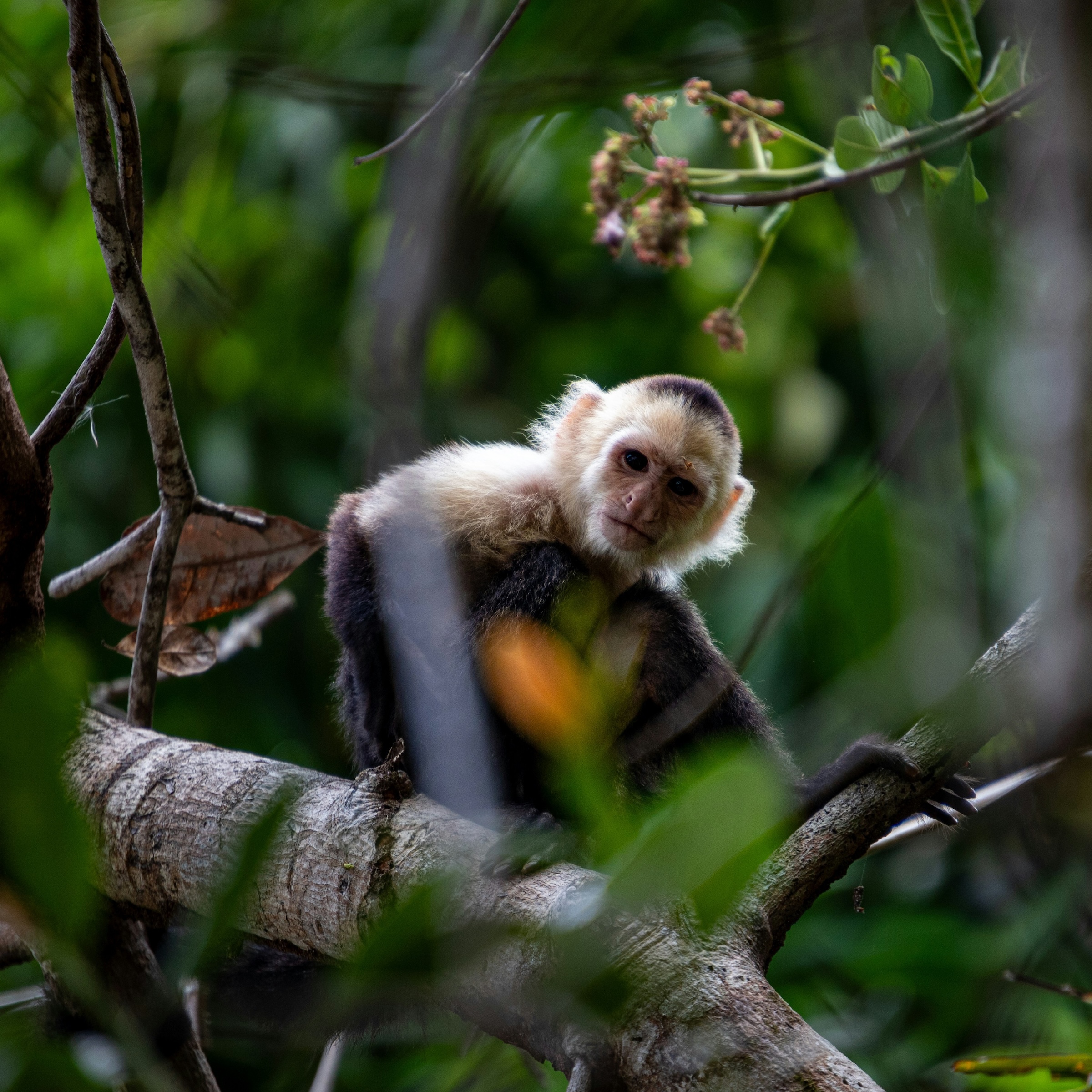Leveraging global media to transform nature financing