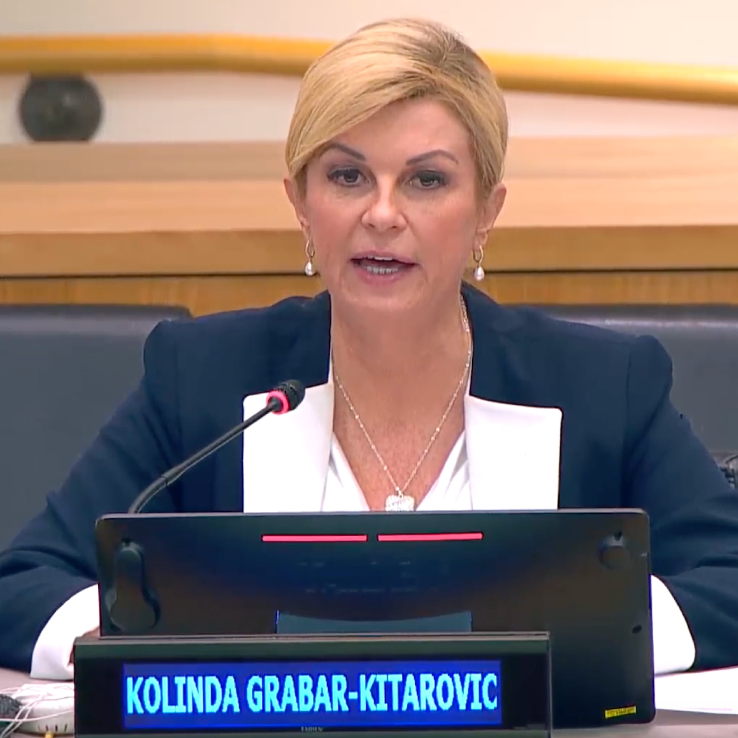 Building global support for investment in monitoring pandemic preparedness