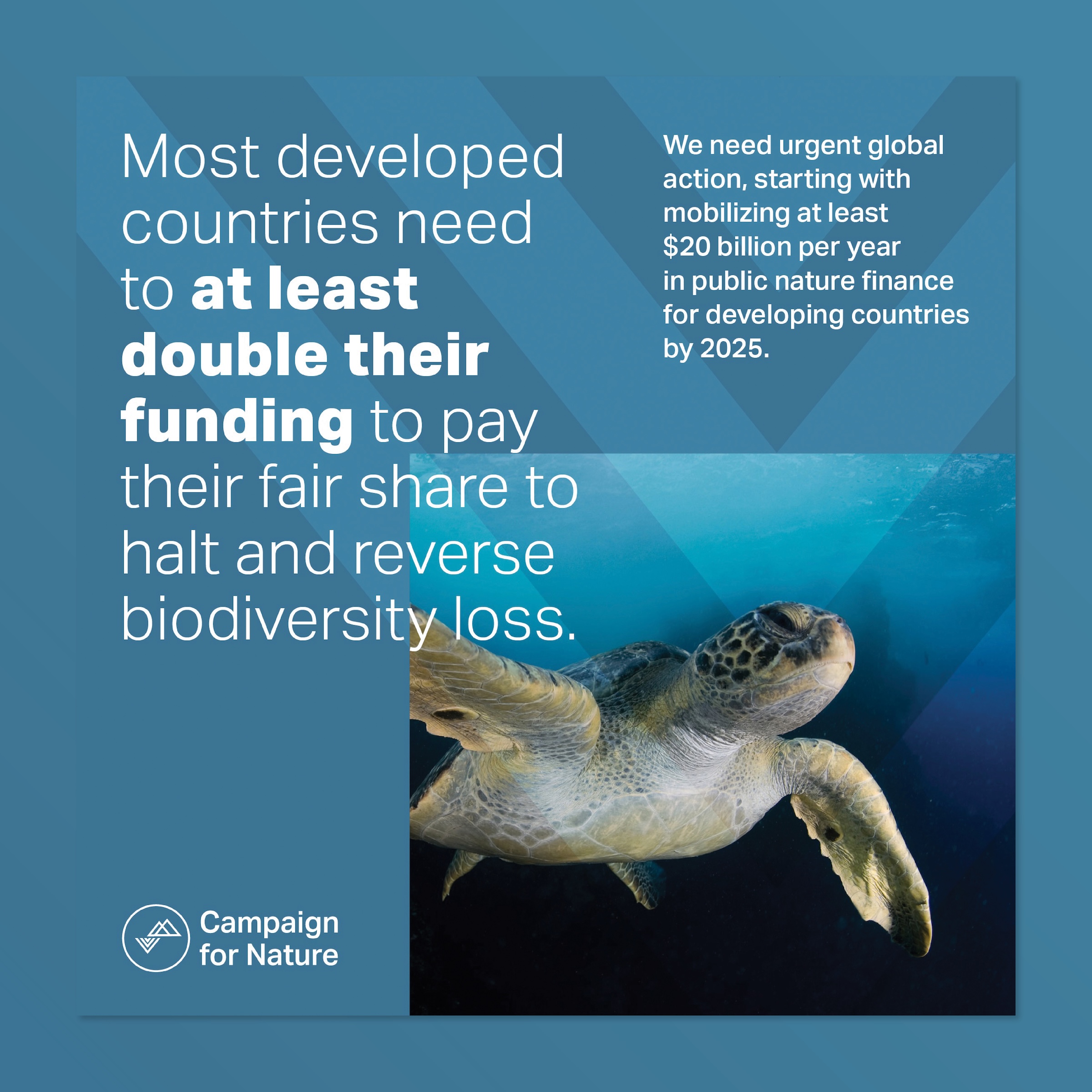 Leveraging global media to transform nature financing