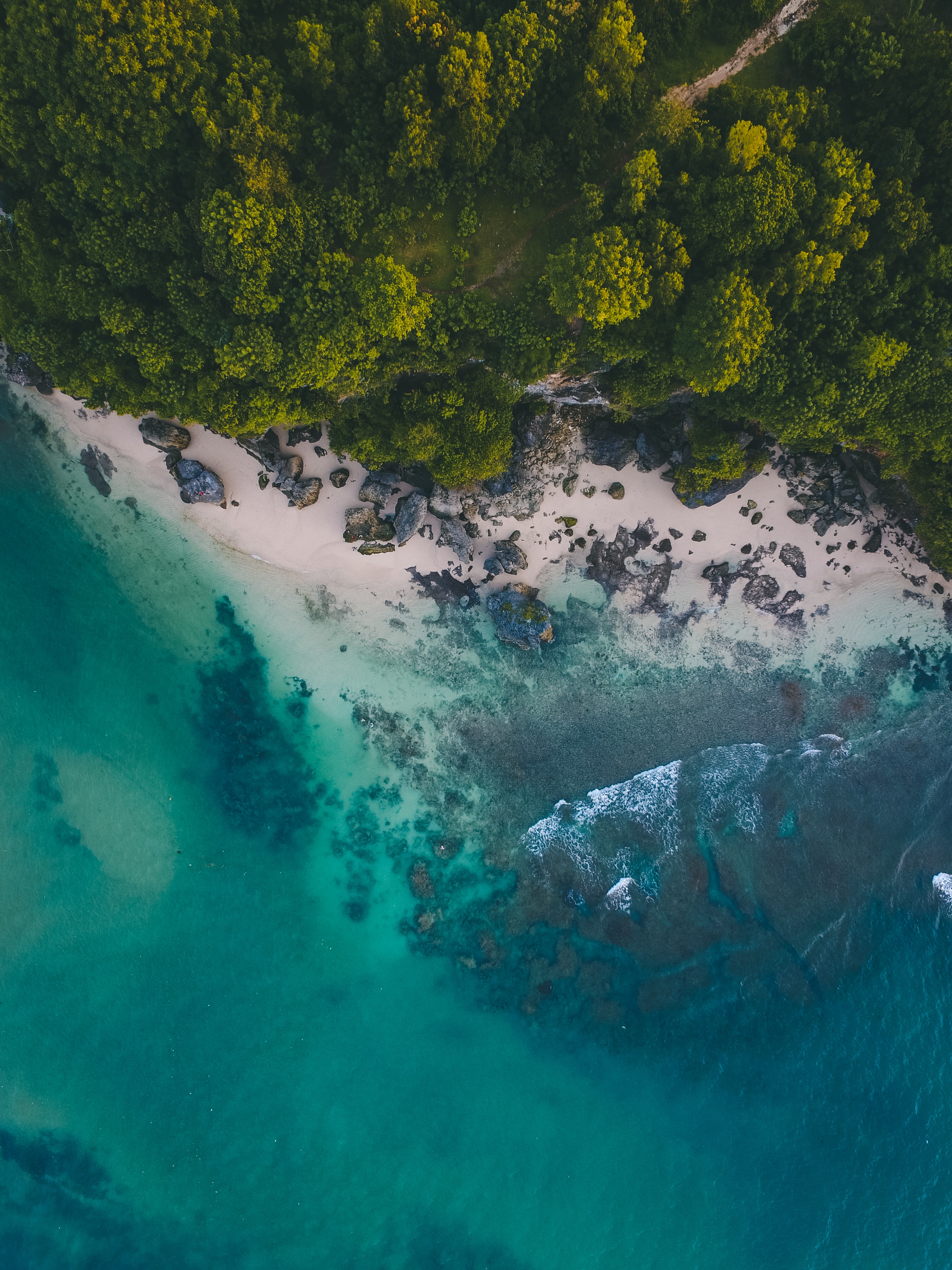 Leveraging global media to transform nature financing