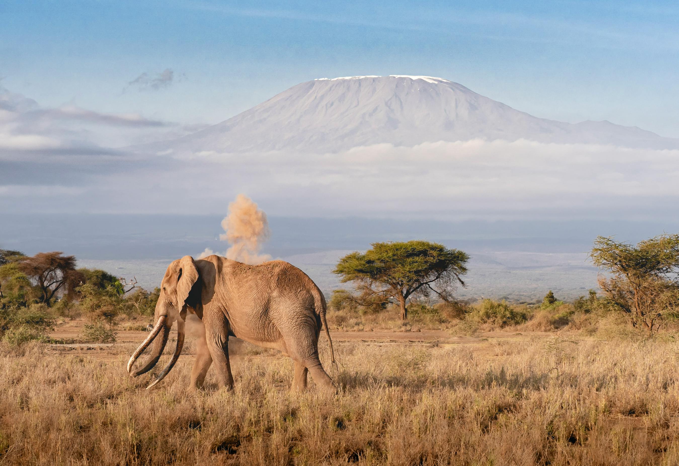 Transforming the way a leading sustainability organisation is seen