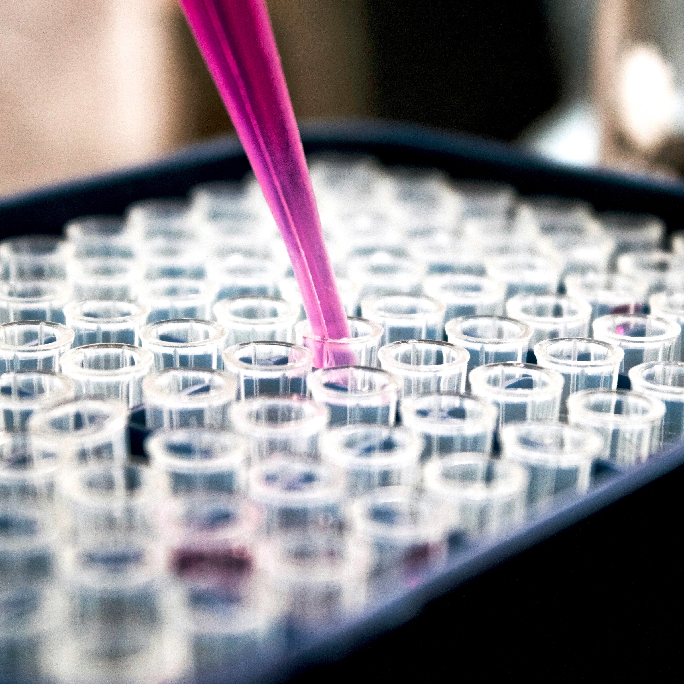 Building global support for investment in monitoring pandemic preparedness